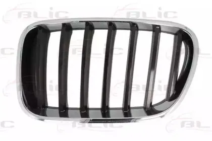 6502-07-00939970P BLIC Решетка радиатора