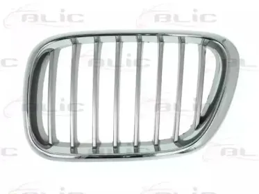 6502-07-0095991P BLIC Решетка радиатора