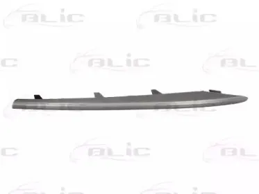 6502-07-0096921P BLIC Облицовка / защитная накладка, буфер