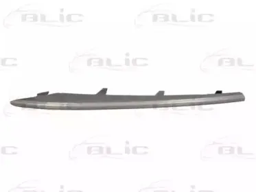 6502-07-0096922P BLIC Облицовка / защитная накладка, буфер