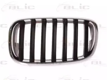 6502-07-0096991P BLIC Решетка радиатора