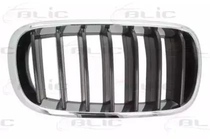 6502-07-00969922P BLIC Решетка радиатора