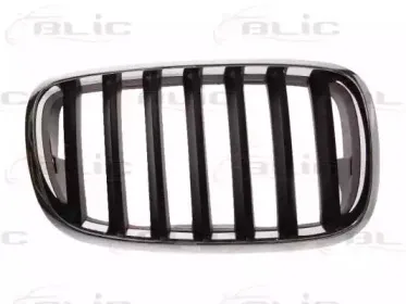 6502-07-0096992P BLIC Решетка радиатора