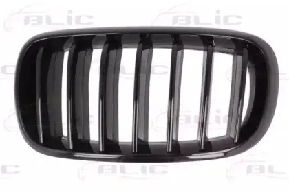 6502-07-00969977P BLIC Решетка радиатора