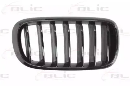 6502-07-00969988P BLIC Решетка радиатора