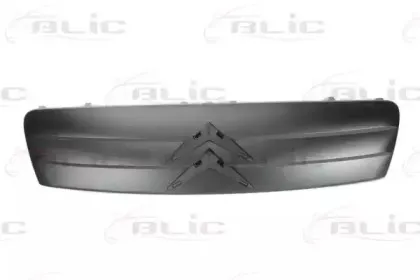 6502-07-0511990P BLIC Рамка, облицовка радиатора