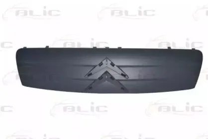 6502-07-0511991Q BLIC Решетка радиатора