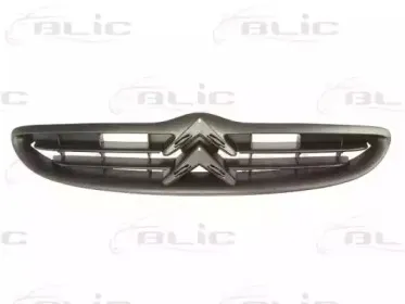 6502-07-0518992P BLIC Решетка радиатора