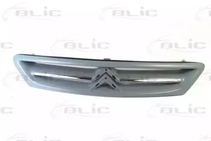 6502-07-0535990P BLIC Решетка радиатора