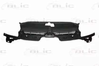 6502-07-0537990Q BLIC Решетка радиатора