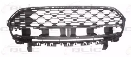 6502-07-0538995Q BLIC Решетка радиатора