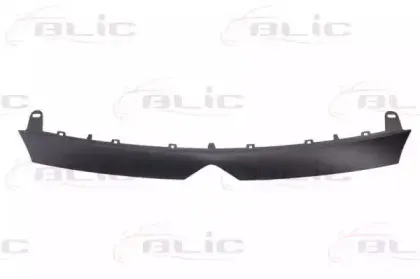 6502-07-0554921Q BLIC Рамка, облицовка радиатора