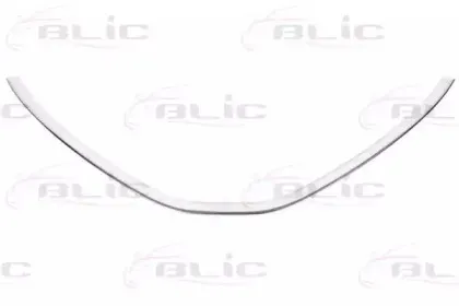 6502-07-1303993P BLIC Облицовка / защитная накладка, облицовка радиатора