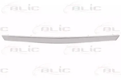 6502-07-1303994P BLIC Облицовка / защитная накладка, облицовка радиатора