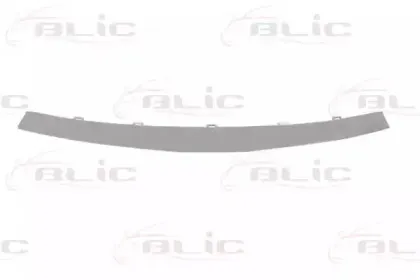 6502-07-1310991P BLIC Облицовка / защитная накладка, облицовка радиатора