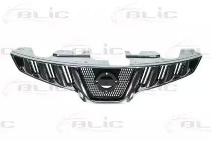 6502-07-1619992P BLIC Решетка радиатора