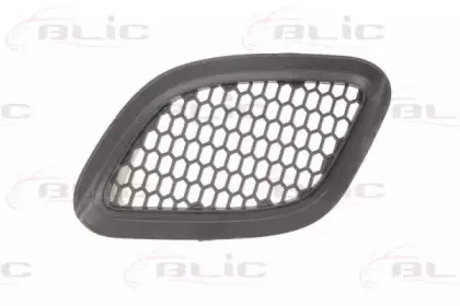 6502072013912AQ BLIC Решетка вентилятора, буфер