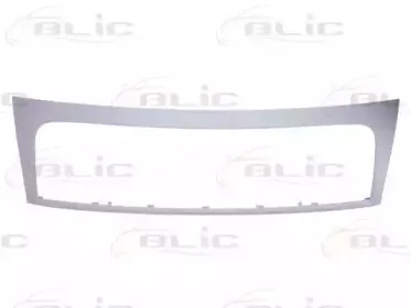 6502-07-2035991Q BLIC Рамка, облицовка радиатора