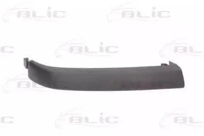 6502-07-2042212Q BLIC Рама фары