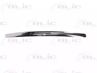 6502-07-2533993P BLIC Облицовка / защитная накладка, облицовка радиатора