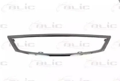 6502-07-2555996P BLIC Рамка, облицовка радиатора