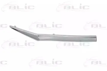 6502-07-2950992P BLIC Облицовка / защитная накладка, облицовка радиатора