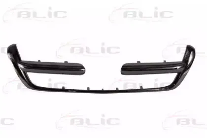 6502-07-2956991P BLIC Облицовка / защитная накладка, облицовка радиатора