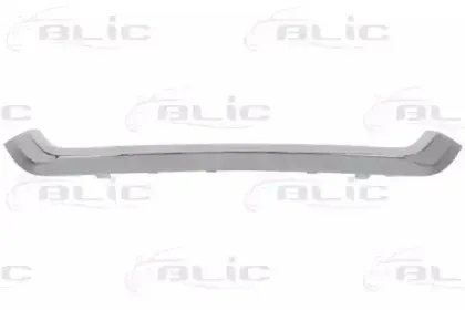 6502-07-2957993P BLIC Облицовка / защитная накладка, облицовка радиатора