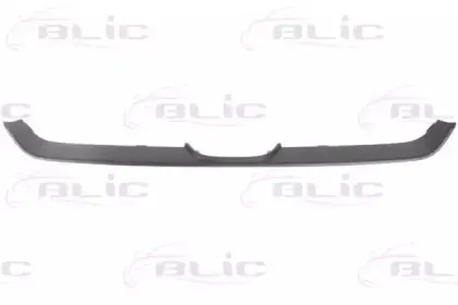 6502-07-2957994P BLIC Облицовка / защитная накладка, облицовка радиатора