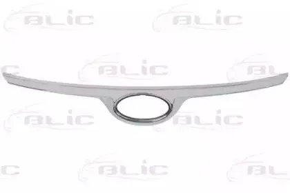 6502-07-3120210P BLIC Облицовка / защитная накладка, облицовка радиатора