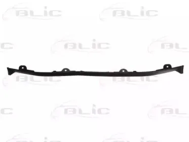 6502-07-3181970P BLIC Облицовка / защитная накладка, буфер