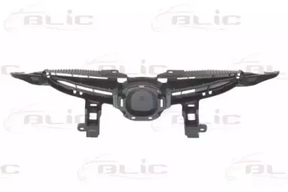 6502-07-3421991P BLIC Решетка радиатора