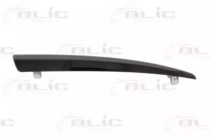 6502-07-3453992P BLIC Облицовка / защитная накладка, облицовка радиатора