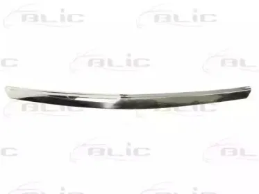 6502-07-3475994P BLIC Облицовка / защитная накладка, облицовка радиатора