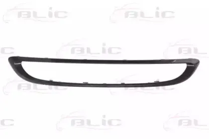 6502-07-3502989P BLIC Рамка, облицовка радиатора