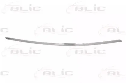 6502073509921P BLIC Облицовка / защитная накладка, буфер