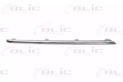 6502-07-3529936P BLIC Облицовка / защитная накладка, облицовка радиатора