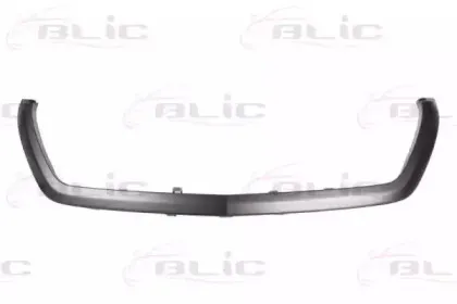 6502-07-3548991P BLIC Облицовка / защитная накладка, облицовка радиатора