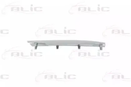 6502-07-3580913P BLIC Облицовка / защитная накладка, облицовка радиатора