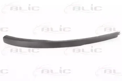 6502-07-5024921P BLIC Спойлер