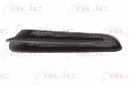 6502-07-5029211P BLIC Рама фары