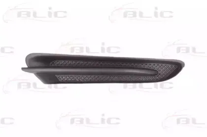 6502-07-5029212P BLIC Рама фары