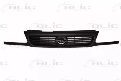 6502-07-5050992P BLIC Решетка радиатора