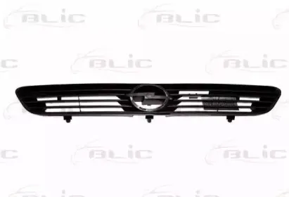 6502-07-5051990P BLIC Решетка радиатора