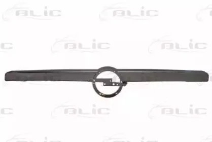 6502-07-5052991P BLIC Облицовка / защитная накладка, облицовка радиатора