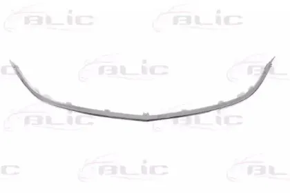 6502-07-5053992P BLIC Облицовка / защитная накладка, облицовка радиатора