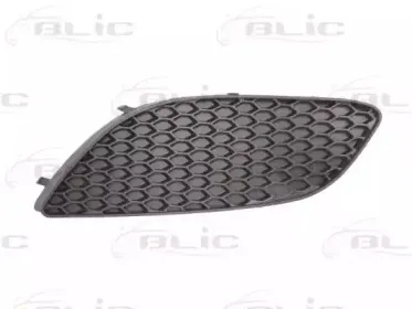 6502-07-5063915Q BLIC Решетка вентилятора, буфер