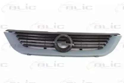 6502-07-5077990P BLIC Решетка радиатора