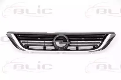 6502-07-5077994P BLIC Решетка радиатора