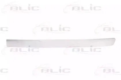 6502-07-5501911P BLIC Облицовка / защитная накладка, облицовка радиатора